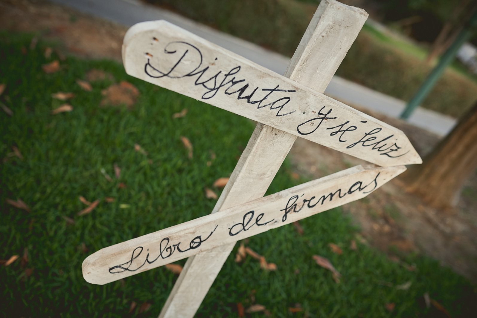 Imagen: | Complices del Recuerdo